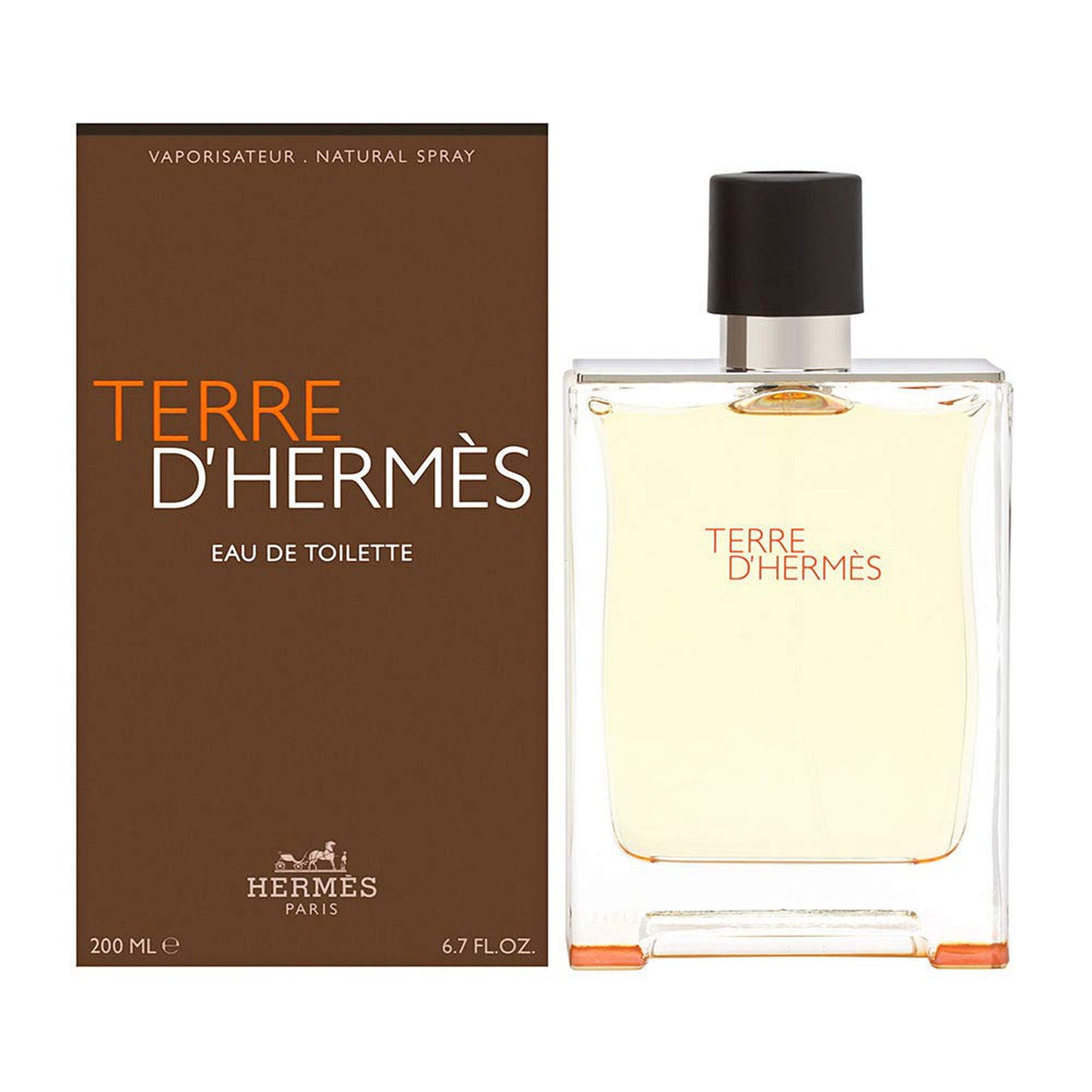 Terre D'Hermes Eau de Toilette